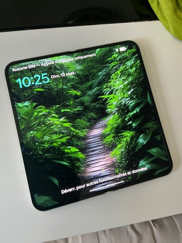 Google pixel pro - 10, fold