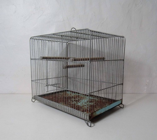 Ancienne cage oiseau vert - cage,