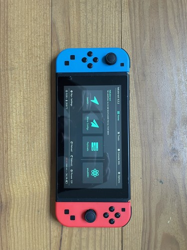 Nintendo switch console - switch, go