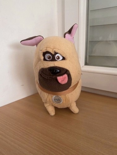 Petite peluche chien - petite, comme