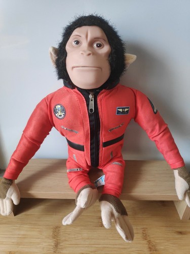 2008 momo space - 2008,