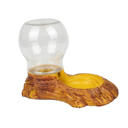 Plat eau tortue accessoires - plat, d'eau