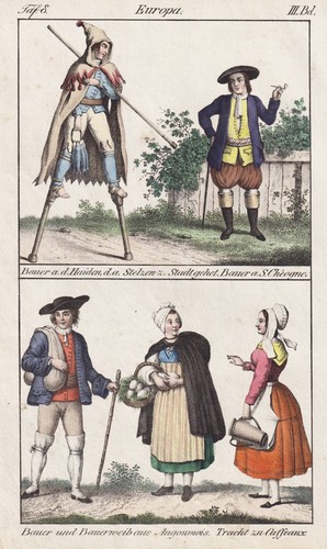 Bécasseau échasses walker - à,