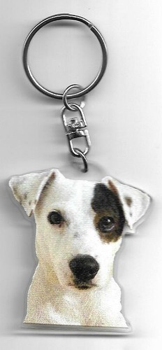 Jack russel chien porte - chien,