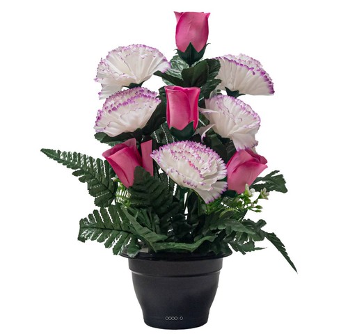 Pot oeillets fleurs - d'oeillets,
