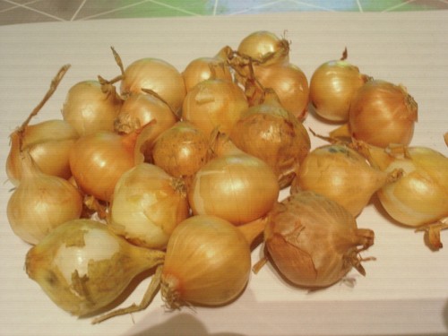 Oignons bulbilles de - oignons/bulbilles,