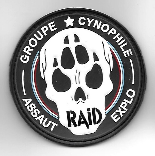 Ecusson france raid groupe - raid,