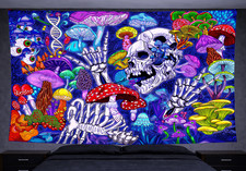 Psychédélique Crâne