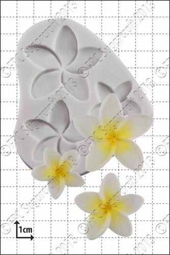 Moule silicone frangipani - moule,