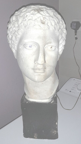 Buste homme plâtre - d'homme, en
