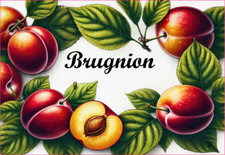 Brugnion 12 Etiquettes vinyle conserve fruit légume confiture fait maison