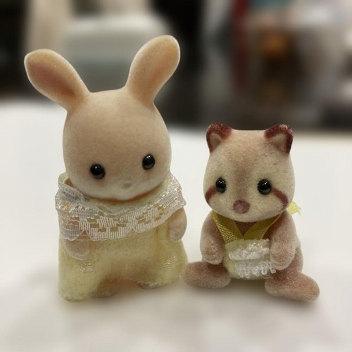 Raton laveur bébé - , en