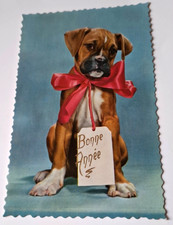 CPA carte postale JEUNE CHIOT