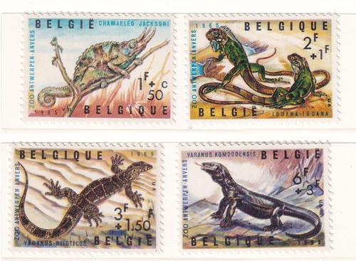 Belgique 1965 animaux zoo - du,