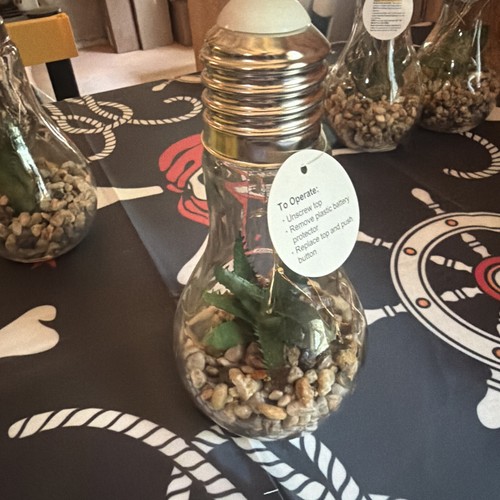 Succulent glass bulb terrarium - bulb,