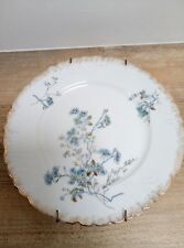 Jolie assiette porcelaine de
