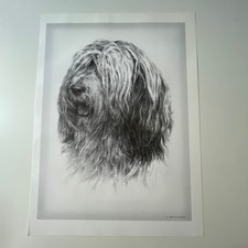 Polski Owczarek Nizinny Joanna & Lesław Kost Dog Book Print Illustration SV31-3