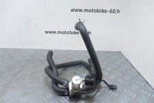 Antipollution Honda Hornet 900