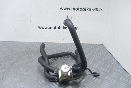 Antipollution honda hornet 900 - antipollution,