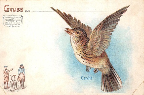 Rarité lithographie 1908 - lithographie, ak