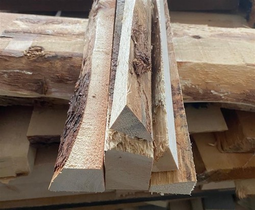 Bois cèdre bordure - 5, de