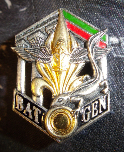 Insigne reg bat - 6°,