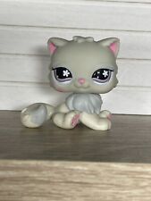 ?Petshop Chat Persian 722?