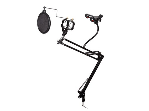 Pied micro antipop - 1,