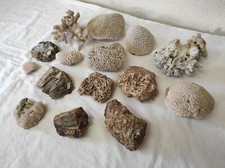 Lot de 15 Minéraux, Coraux et