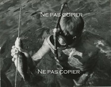 Un DIVER c.1940 PIERRE BOUCHER scuba diving hunting Alliance photo