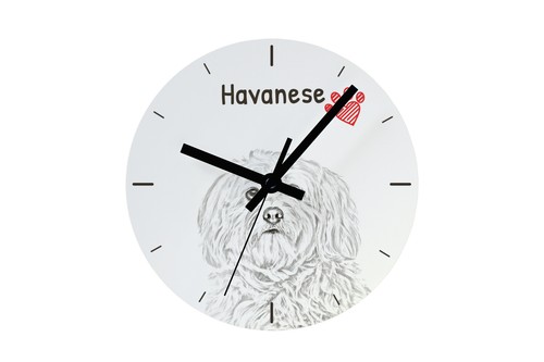 Bichon havanais horloge - , avec