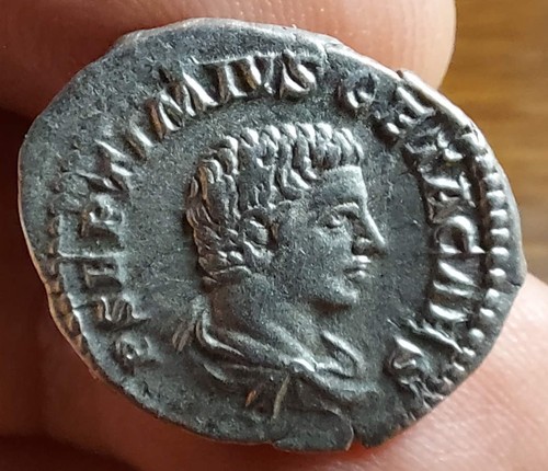 Geta caesar denarius - geta, as