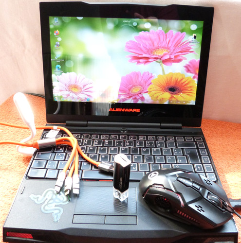 Alienware m11x pouces - m11x, r1