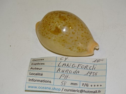 Langfordi 58mm - ,