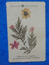 Pious Image Dried Flowers of Holy Earth Poses on Holy Sepulchre