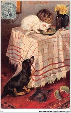 EMI-AABP4-0228-CHIEN - Chats - Dachshund