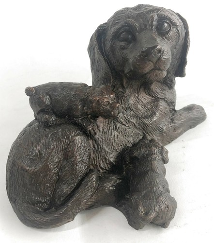 Labrador retriever avec - labrador,