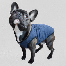 Vetement chien gilet