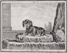 Dessin De Chien King Charles