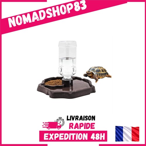 Bol eau pour - reptile, en