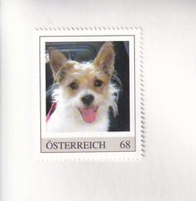 TIMBRE PM Autriche CHIENS