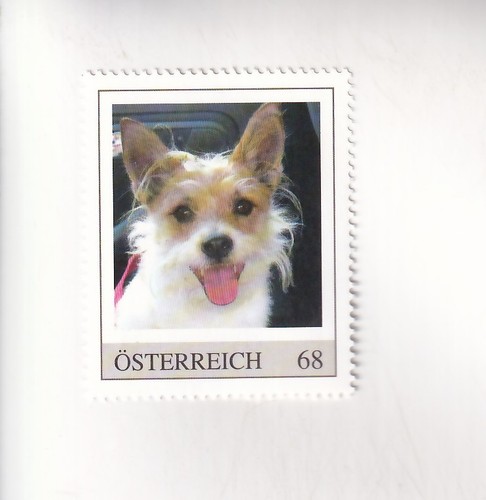 Timbre autriche chiens - timbre, pm