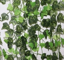 1 Guirlande De Lierre plus de