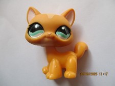 PETSHOP CHAT MAINE COON