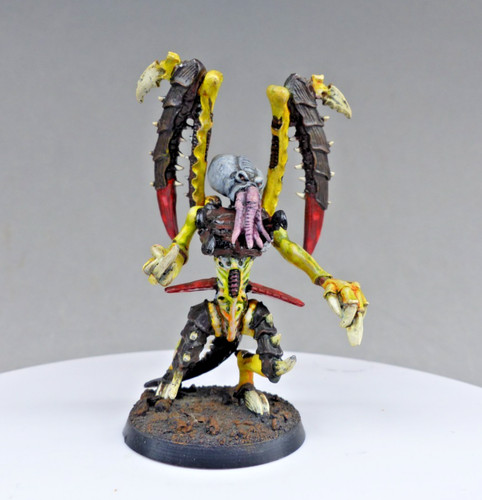 Warhammer 40k tyranid - warhammer, tyranide