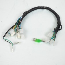 Faisceau electrique de