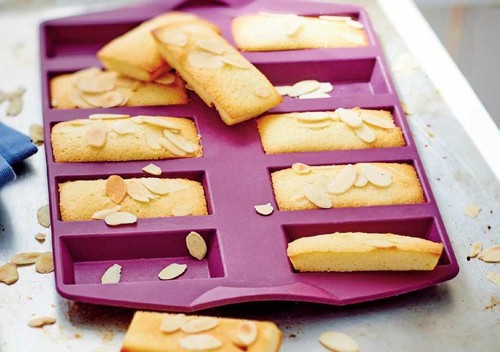 Moule minis financiers - a,