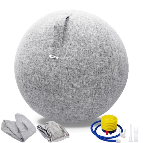 Exercise ball chair - ball,