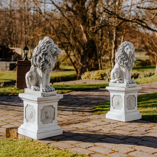 Paire lions sur socle - sur, en