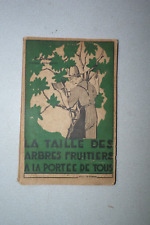 la taille des arbres fruitiers